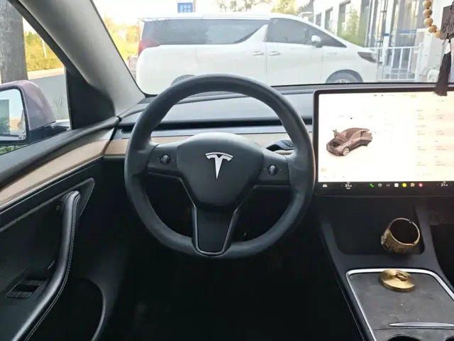Tesla Model Y — Фото автомобиля 2
