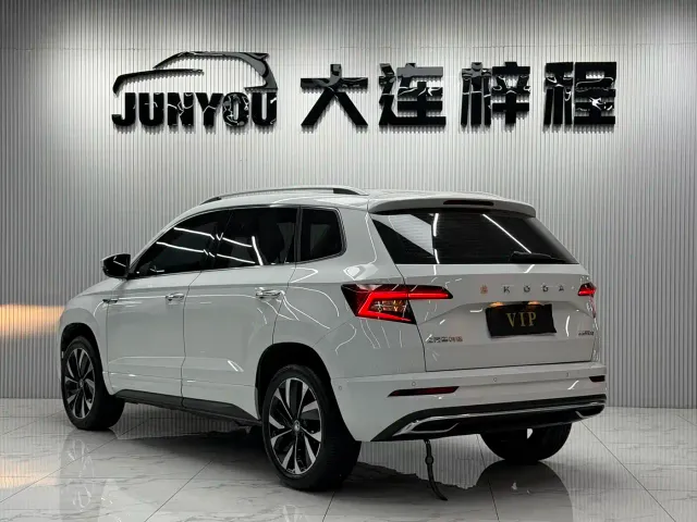 Skoda Karoq — Фото автомобиля 6