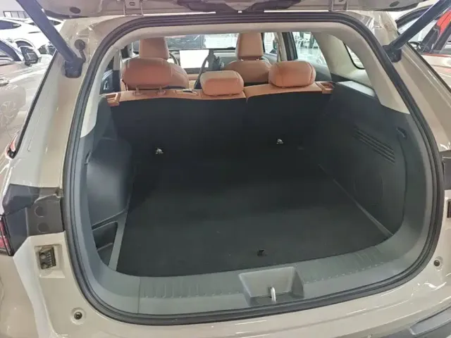 Haval Xiaolong MAX — Фото автомобиля 18