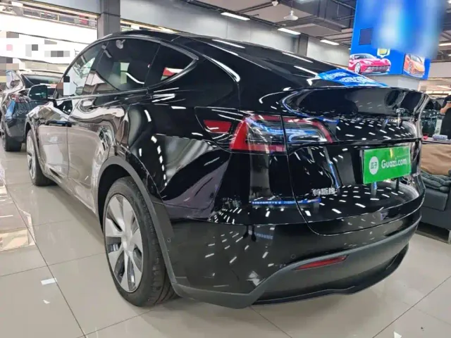 Tesla Model Y — Фото автомобиля 4