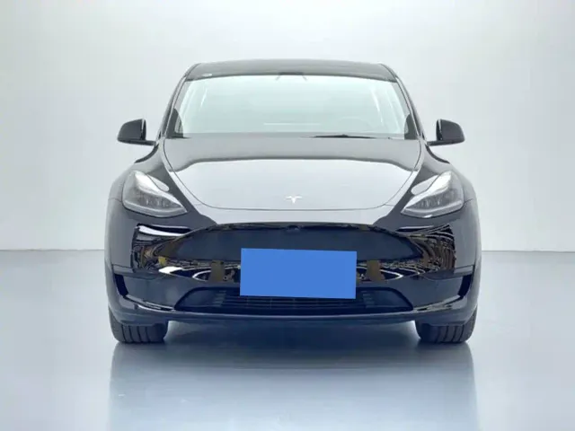 Tesla Model Y — Фото автомобиля 2