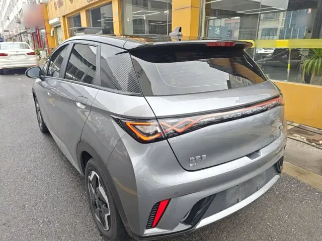 BYD Dolphin — Фото автомобиля 4