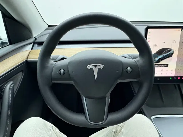 Tesla Model Y — Фото автомобиля 15