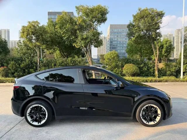 Tesla Model Y — Фото автомобиля 3
