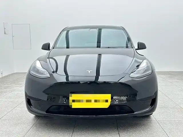 Tesla Model Y — Фото автомобиля 2