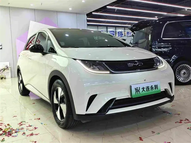 BYD Dolphin — Фото автомобиля 3