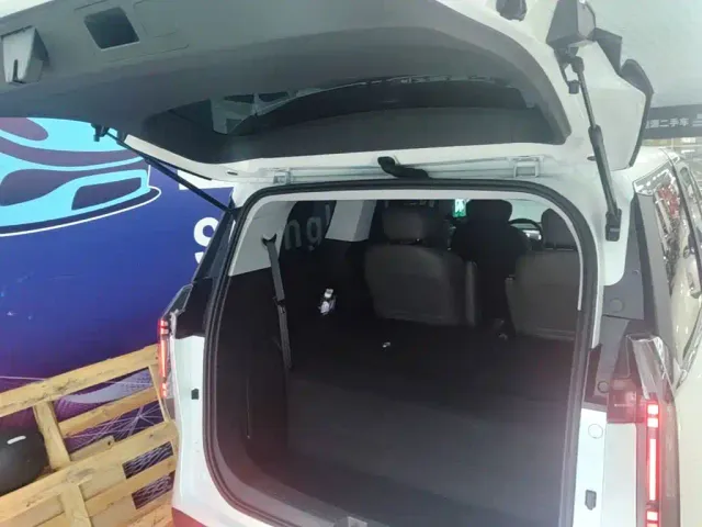 Maxus Dajia 7 — Фото автомобиля 18