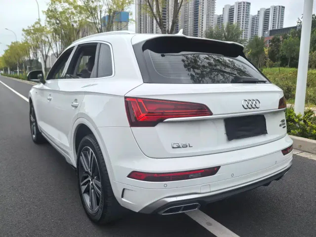Audi Q5L — Фото автомобиля 19