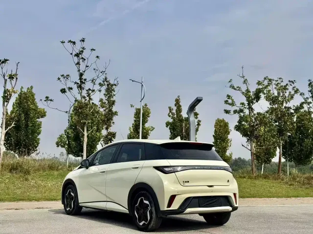 BYD Dolphin — Фото автомобиля 8