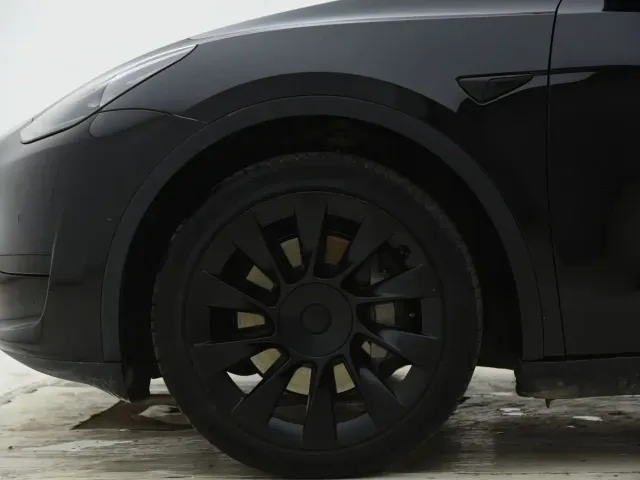 Tesla Model Y — Фото автомобиля 3