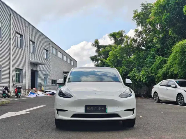 Tesla Model Y — Фото автомобиля 2