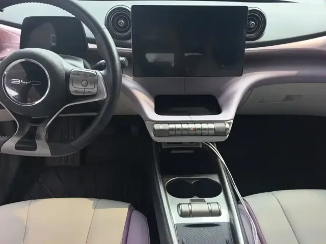 BYD Dolphin 2021 401km Knight Edition — Фото автомобиля 13