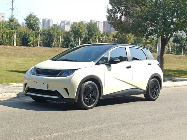 BYD Dolphin — Фото автомобиля 2