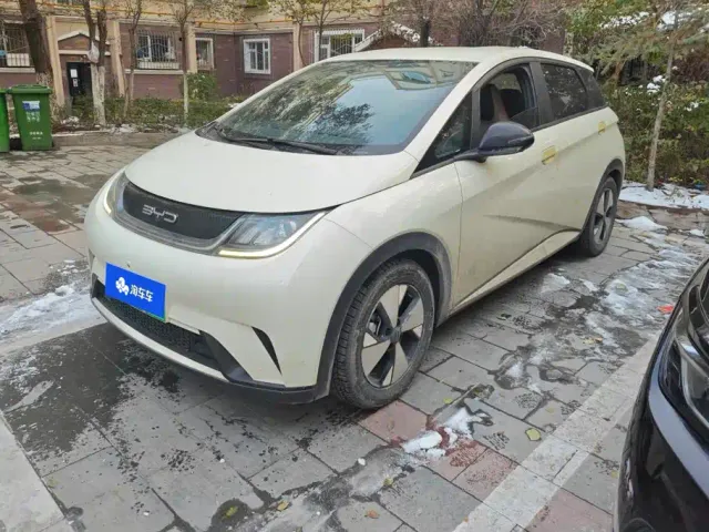 Фотография автомобиля — BYD Dolphin
