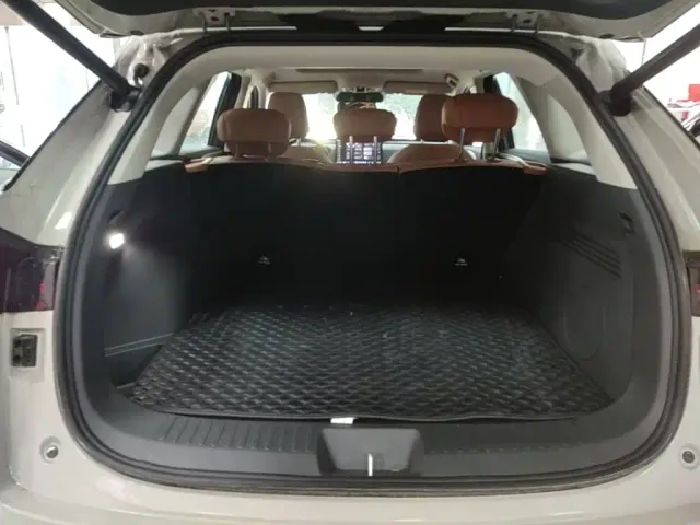 Haval Xiaolong MAX — Фото автомобиля 18