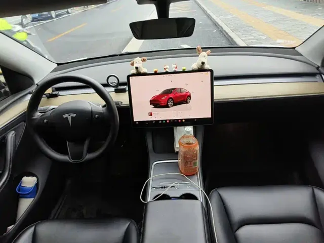 Tesla Model Y — Фото автомобиля 12