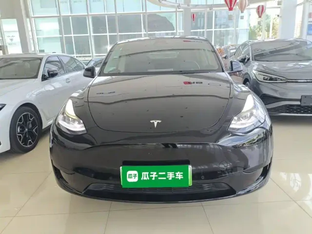 Tesla Model Y — Фото автомобиля 2