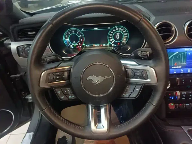 Ford Mustang — Фото автомобиля 10