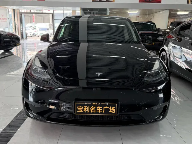 Tesla Model Y — Фото автомобиля 2