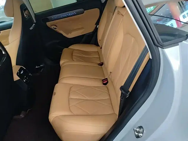 Leapmotor C11 — Фото автомобиля 16
