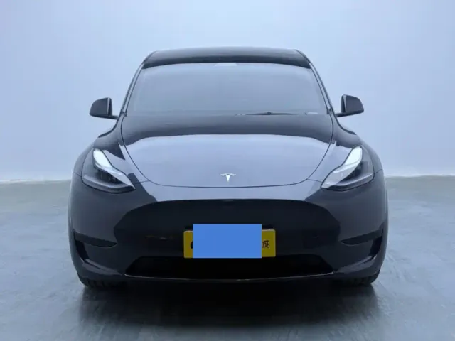 Tesla Model Y — Фото автомобиля 3