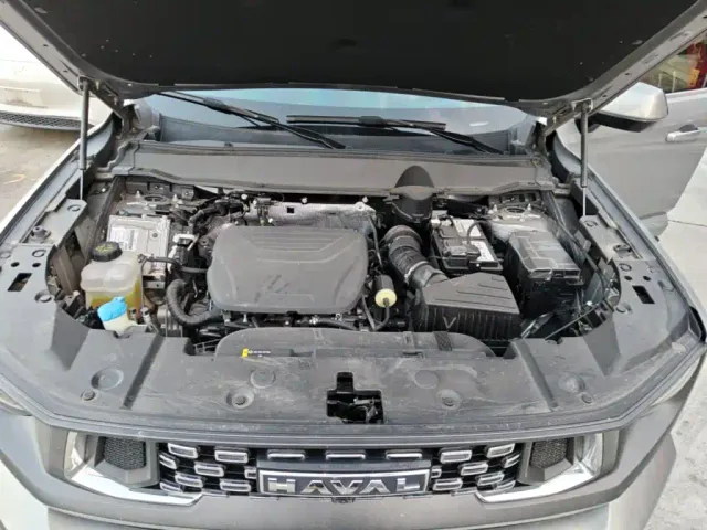 Haval Big Dog — Фото автомобиля 19