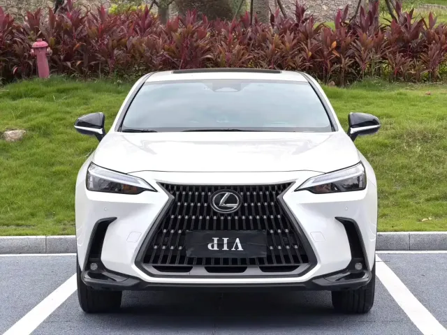 Lexus NX — Фото автомобиля 3