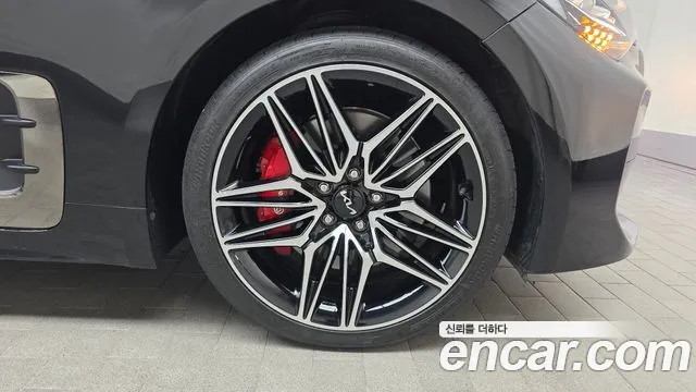 Kia Stinger Stinger Meister 2.5 AWD Masters — Фото автомобиля 4