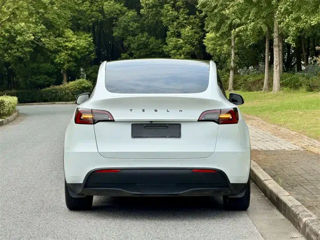 Tesla Model Y — Фото автомобиля 5