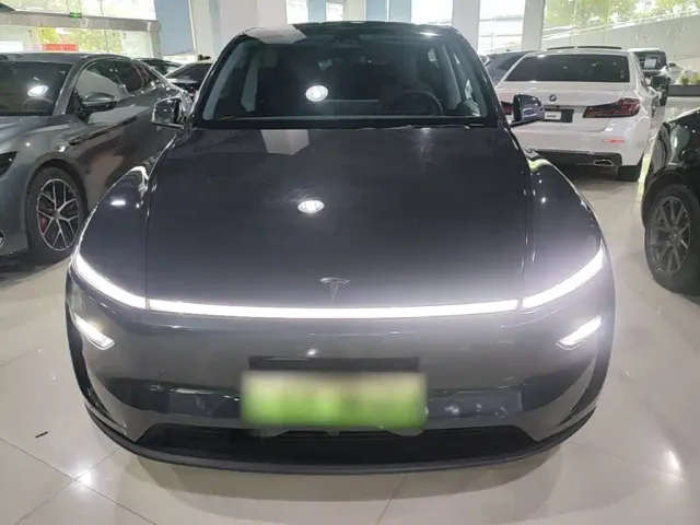 Tesla Model Y — Фото автомобиля 2