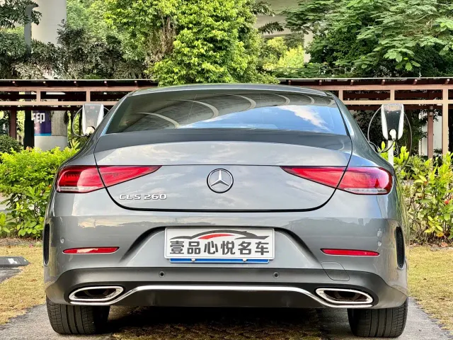 Mercedes-Benz CLS-Class — Фото автомобиля 13