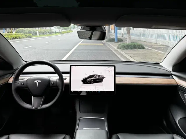 Tesla Model 3 — Фото автомобиля 4