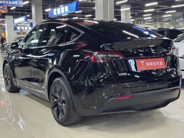 Tesla Model Y — Фото автомобиля 7