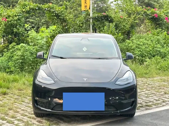 Tesla Model Y — Фото автомобиля 3