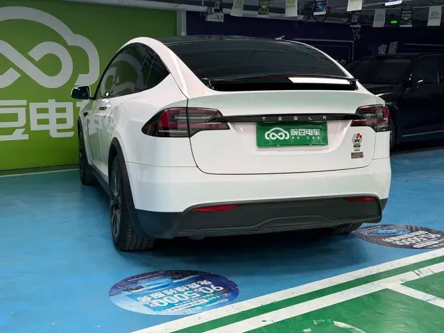 Tesla Model X — Фото автомобиля 22