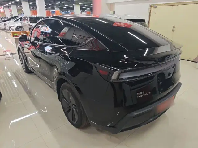Tesla Model Y — Фото автомобиля 4