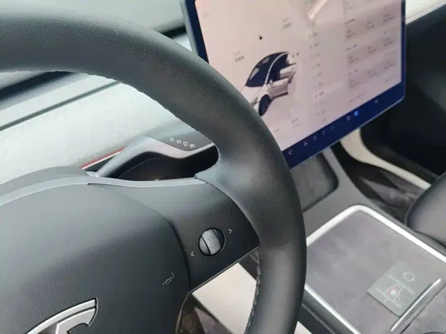 Tesla Model Y — Фото автомобиля 13