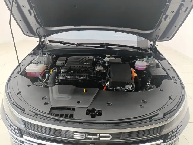 BYD Destroyer 05 2024 Glory Edition DM-i 55KM Luxury — Фото автомобиля 10