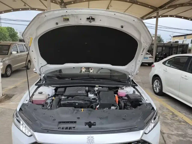 BYD Qin PLUS — Фото автомобиля 19