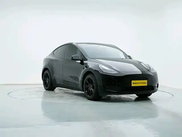 Tesla Model Y — Фото автомобиля 3