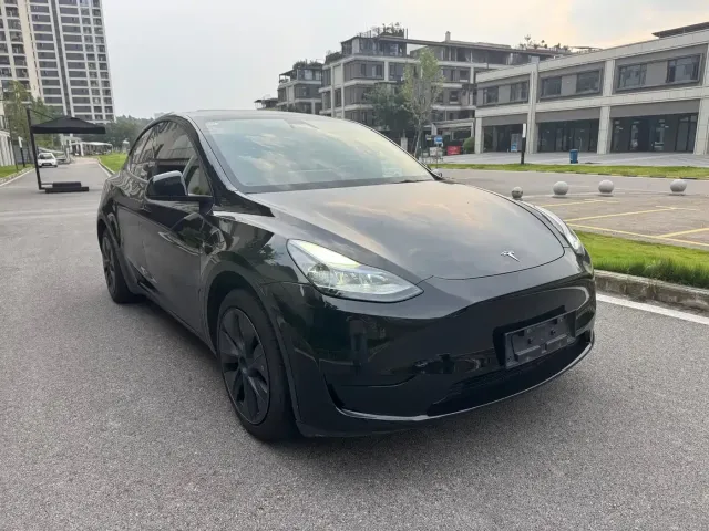 Tesla Model Y — Фото автомобиля 3