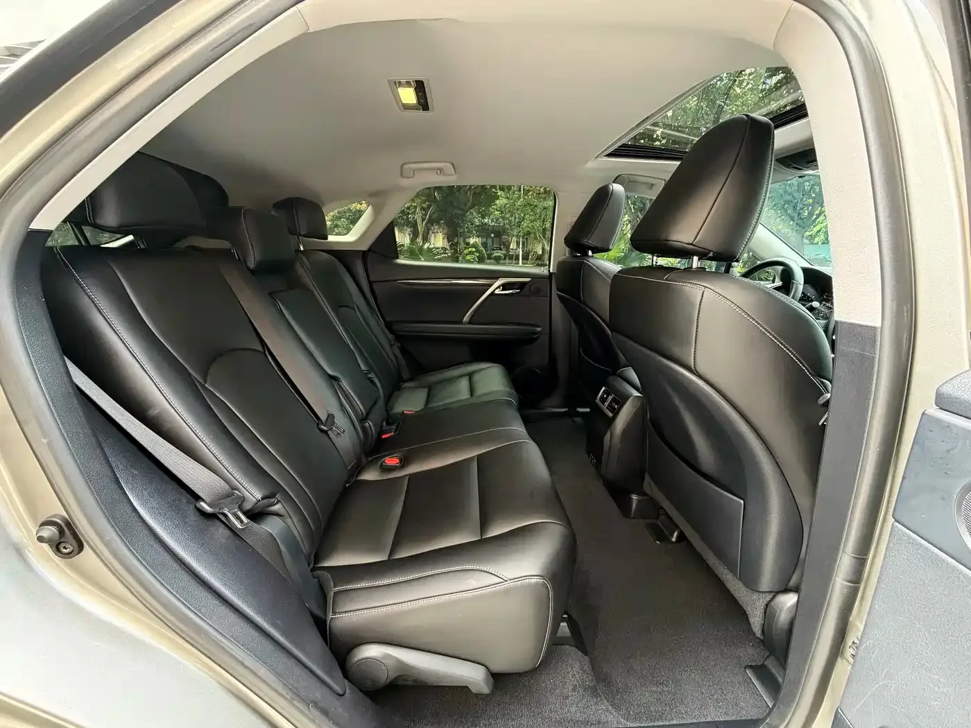 Lexus Lexus RX 2020 300 2WD Elite Edition China VI — Фото автомобиля 8