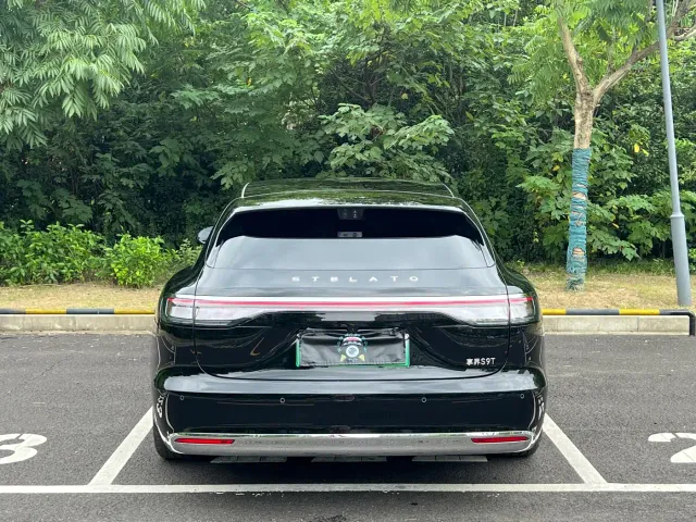 Stelato S9T — Фото автомобиля 18