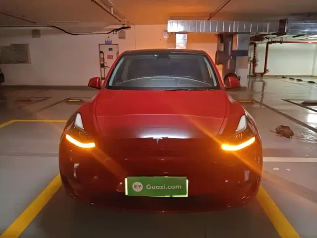 Tesla Model Y — Фото автомобиля 2
