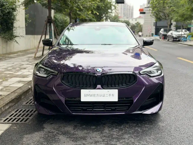 BMW 2 Series — Фото автомобиля 4