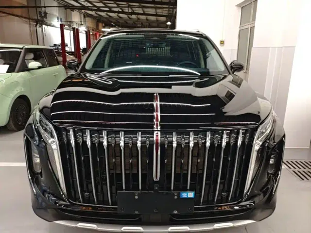 Hongqi Hongqi HS7 PHEV 2024 2.0T PHEV 4WD Flagship Edition 6-seater — Фото автомобиля 2