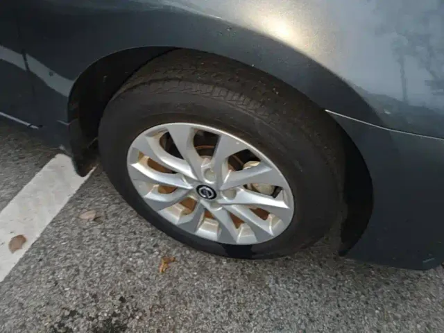 Nissan Sylphy — Фото автомобиля 6