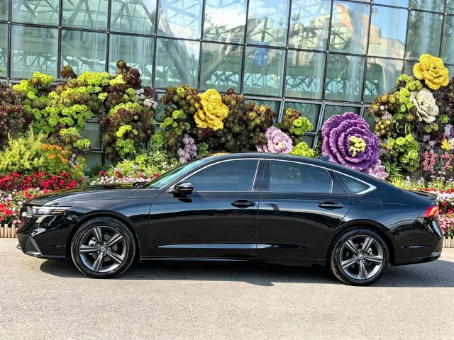 Honda Inspire — Фото автомобиля 4