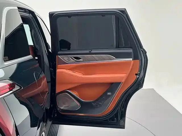 Wey Lanshan — Фото автомобиля 24