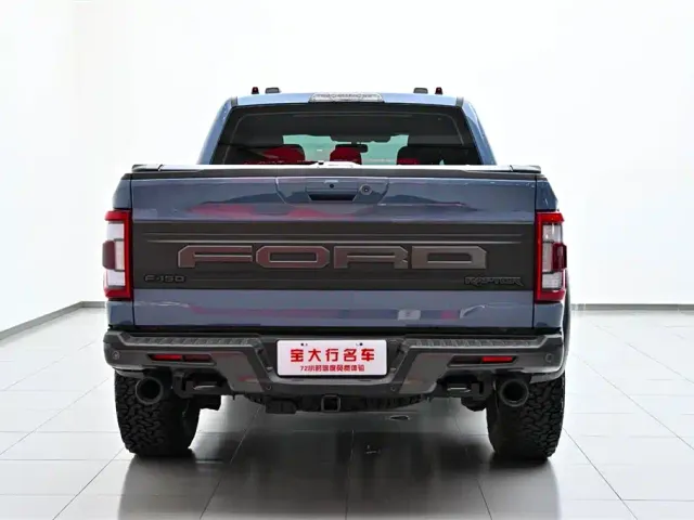 Ford F-150 Raptor — Фото автомобиля 8